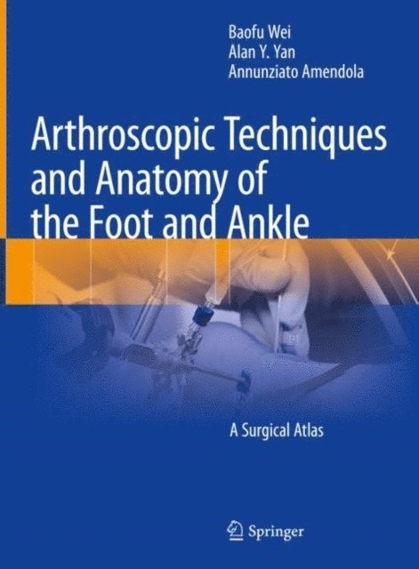 Annunziato Amendola, Alan Y. Yan, Baofu Wei - Arthroscopic Techniques and Anatomy of the Foot and Ankle, E-bok