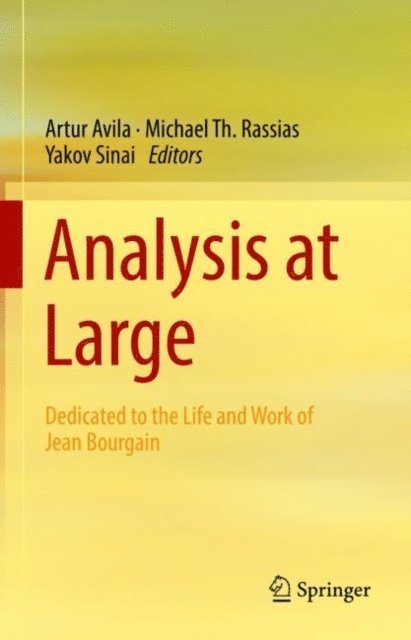 Yakov Sinai, Michael Th. Rassias, Artur Avila - Analysis at Large, E-bok