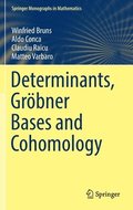 Determinants, Grbner Bases and Cohomology