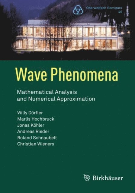 Christian Wieners, Roland Schnaubelt, Andreas Rieder, Jonas Kohler, Marlis Hochbruck, Willy Dorfler - Wave Phenomena, E-bok