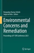 Environmental Concerns and Remediation