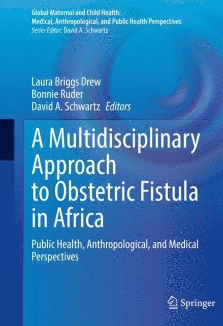 David A. Schwartz, Bonnie Ruder, Laura Briggs Drew - Multidisciplinary Approach to Obstetric Fistula in Africa, E-bok