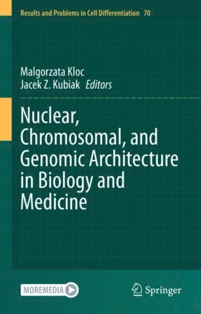Jacek Z. Kubiak, Malgorzata Kloc - Nuclear, Chromosomal, and Genomic Architecture in Biology and Medicine, E-bok