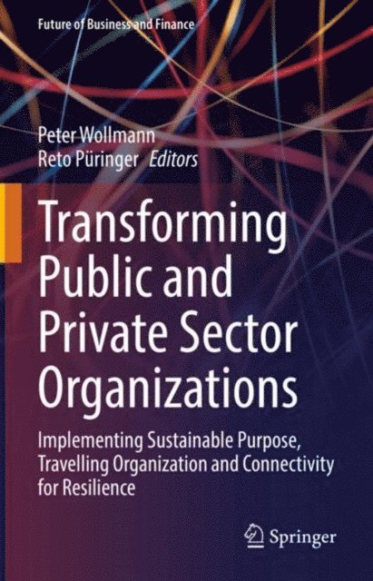 Reto Puringer, Peter Wollmann - Transforming Public and Private Sector Organizations, E-bok