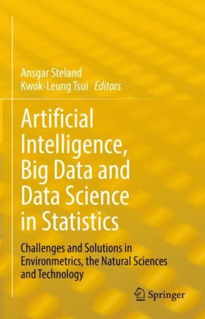 Kwok-Leung Tsui, Ansgar Steland - Artificial Intelligence, Big Data and Data Science in Statistics, E-bok