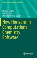 New Horizons in Computational Chemistry Software