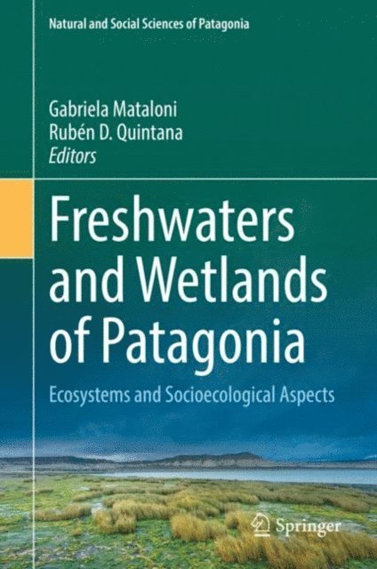 Ruben D. Quintana, Gabriela Mataloni - Freshwaters and Wetlands of Patagonia, E-bok