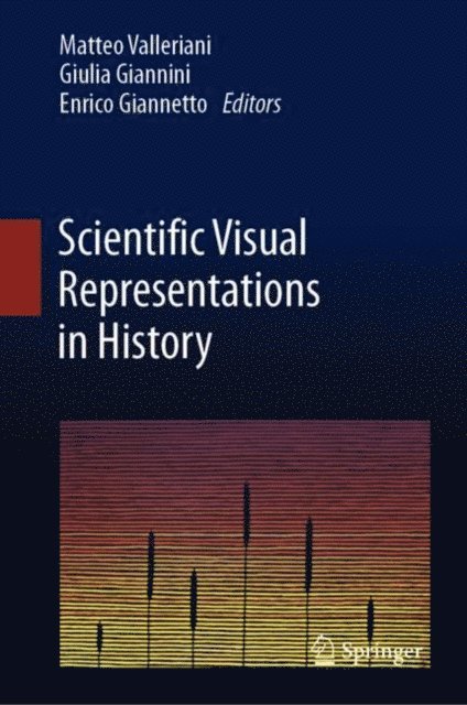 Enrico Giannetto, Giulia Giannini, Matteo Valleriani - Scientific Visual Representations in History, E-bok