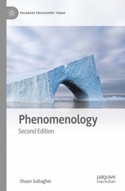 Shaun Gallagher - Phenomenology, E-bok