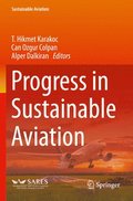 Progress in Sustainable Aviation