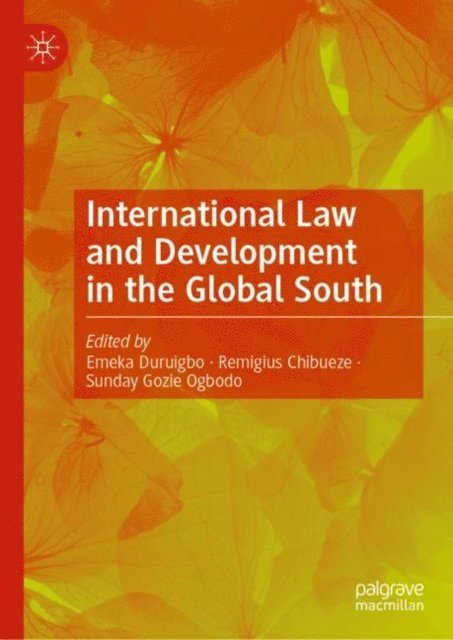 Sunday Gozie Ogbodo, Remigius Chibueze, Emeka Duruigbo - International Law and Development in the Global South, E-bok