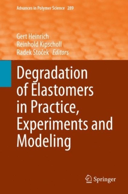Radek Stocek, Reinhold Kipscholl, Gert Heinrich - Degradation of Elastomers in Practice, Experiments and Modeling, E-bok