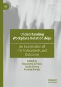 Understanding Workplace Relationships