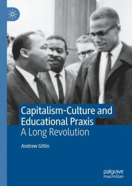 Andrew Gitlin - Capitalism-Culture and Educational Praxis, E-bok