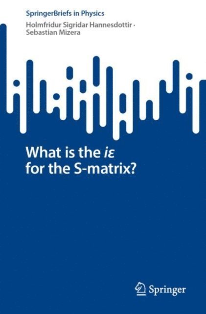 Sebastian Mizera, Holmfridur Sigridar Hannesdottir - What is the ie for the S-matrix?, E-bok