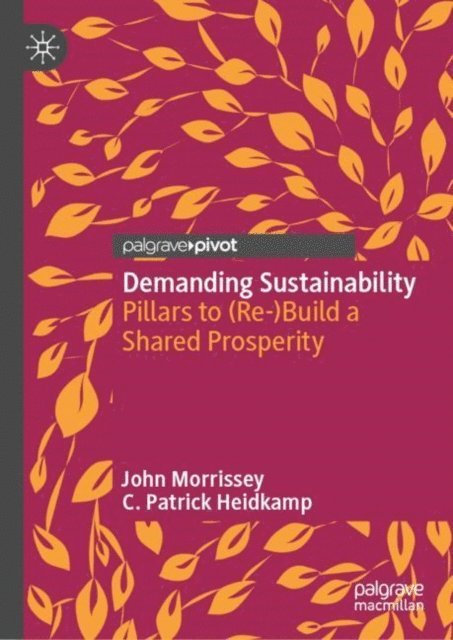 C. Patrick Heidkamp, John Morrissey - Demanding Sustainability, E-bok