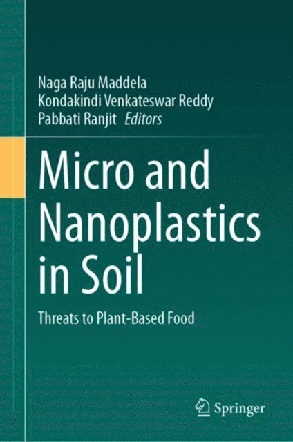 Pabbati Ranjit, Kondakindi Venkateswar Reddy, Naga Raju Maddela - Micro and Nanoplastics in Soil, E-bok