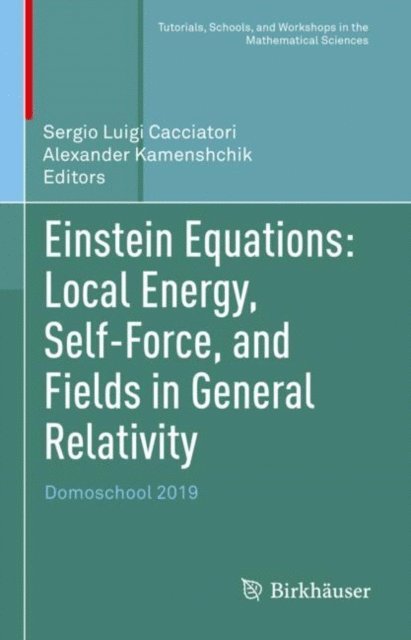 Alexander Kamenshchik, Sergio Luigi Cacciatori - Einstein Equations: Local Energy, Self-Force, and Fields in General Relativity, E-bok