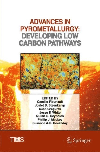 Susanna A.C. Hockaday, Phillip J. Mackey, Quinn G. Reynolds, Jesse F. White, Dean Gregurek, Joalet D. Steenkamp, Camille Fleuriault - Advances in Pyrometallurgy, E-bok