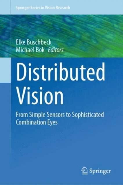 Michael Bok, Elke Buschbeck - Distributed Vision, E-bok
