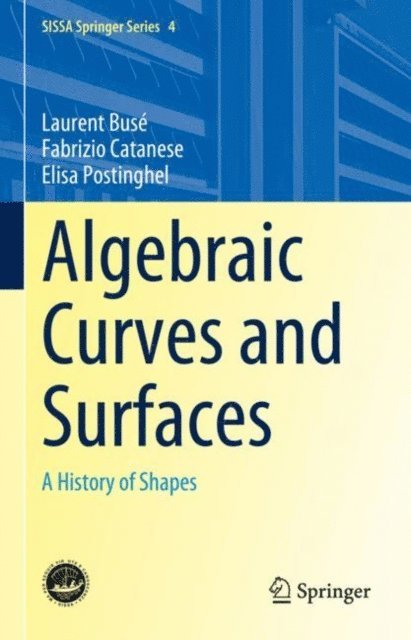 Elisa Postinghel, Fabrizio Catanese, Laurent Buse - Algebraic Curves and Surfaces, E-bok