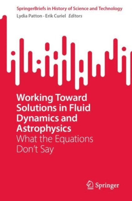 Erik Curiel, Lydia Patton - Working Toward Solutions in Fluid Dynamics and Astrophysics, E-bok