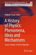 A History of Physics: Phenomena, Ideas and Mechanisms