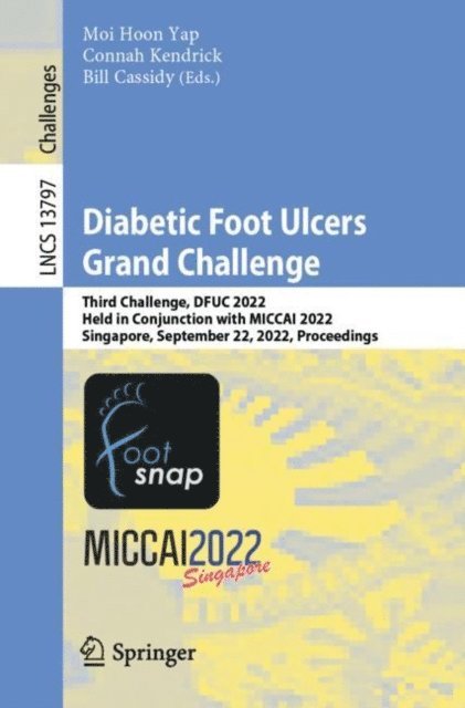 Bill Cassidy, Connah Kendrick, Moi Hoon Yap - Diabetic Foot Ulcers Grand Challenge, E-bok
