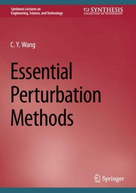 C.Y. Wang - Essential Perturbation Methods, E-bok