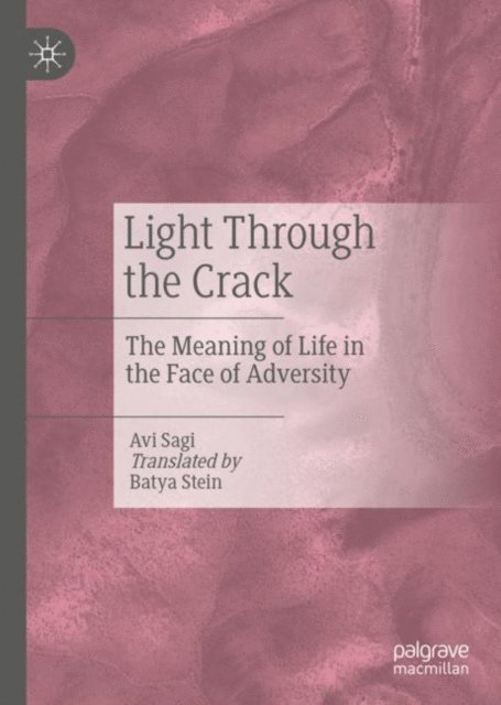 Avi Sagi - Light Through the Crack, E-bok