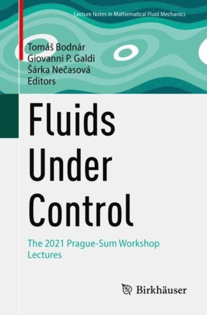 Sarka Necasova, Giovanni P. Galdi, Tomas Bodnar - Fluids Under Control, E-bok