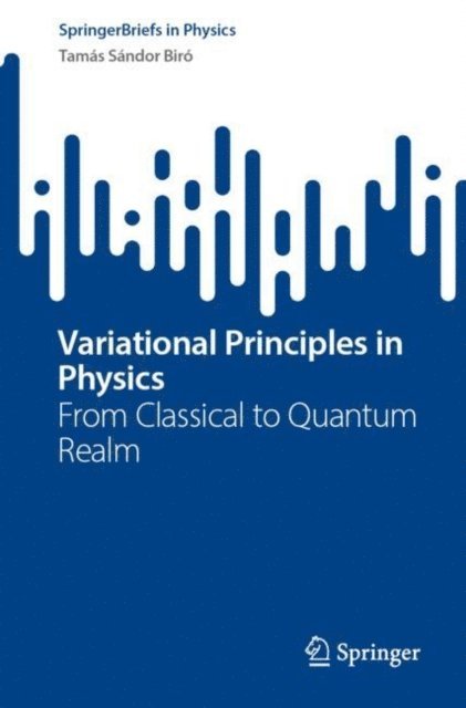 Tamas Sandor Biro - Variational Principles in Physics, E-bok