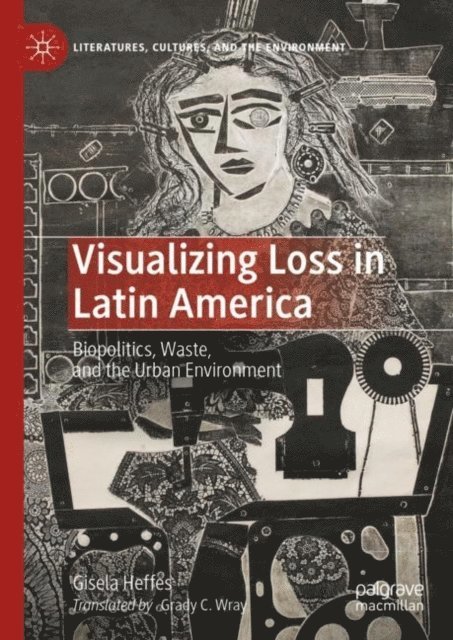 Gisela Heffes - Visualizing Loss in Latin America, E-bok