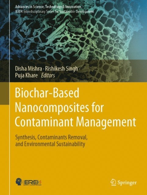 Puja Khare, Rishikesh Singh, Disha Mishra - Biochar-Based Nanocomposites for Contaminant Management, E-bok
