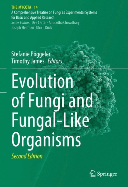 Timothy James, Stefanie Poggeler - Evolution of Fungi and Fungal-Like Organisms, E-bok