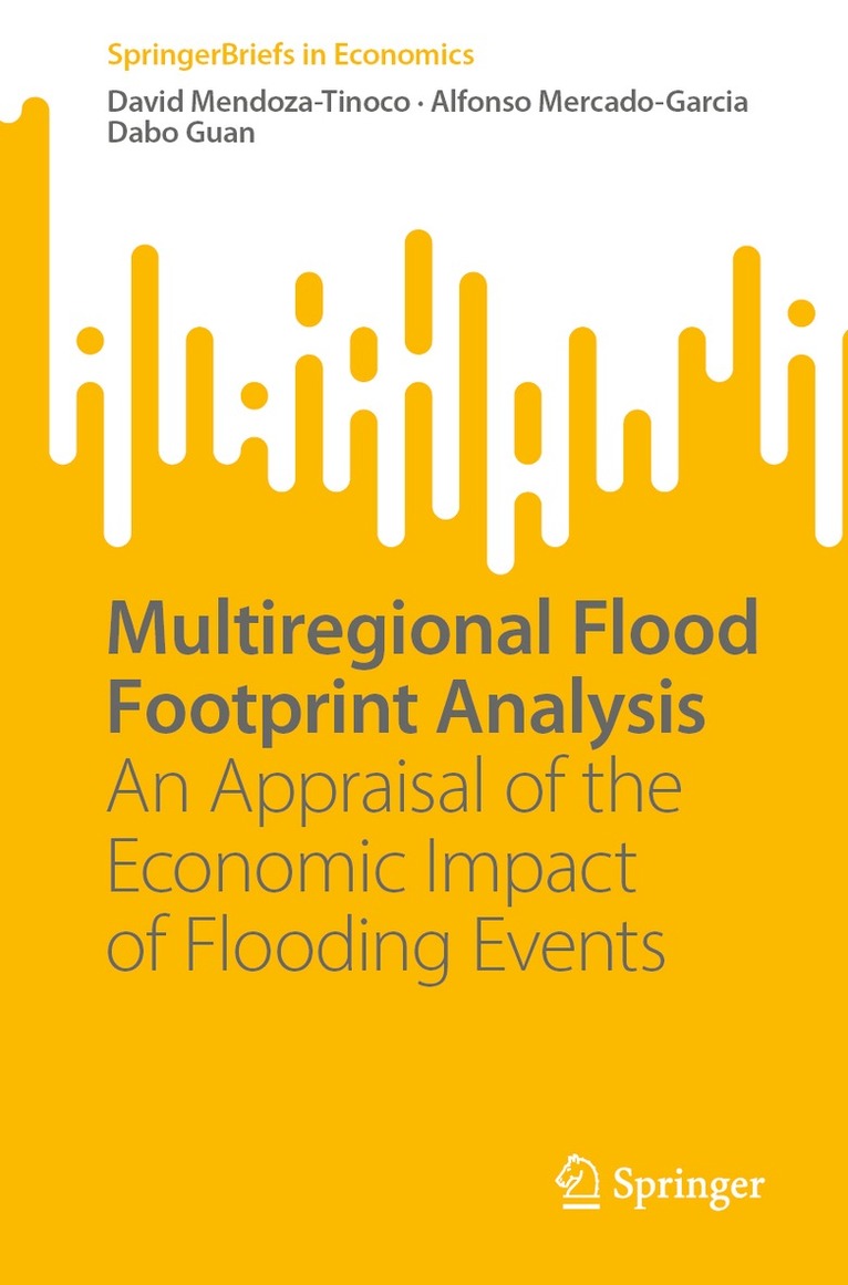 David Mendoza-Tinoco, Alfonso Mercado-Garcia, Dabo Guan - Multiregional Flood Footprint Analysis, Häftad