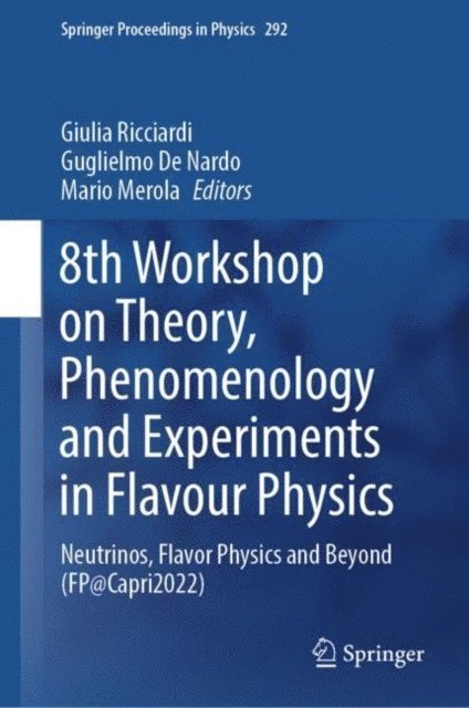 Mario Merola, Guglielmo De Nardo, Giulia Ricciardi - 8th Workshop on Theory, Phenomenology and Experiments in Flavour Physics, E-bok