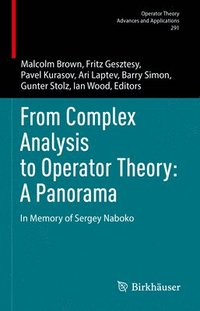 From Complex Analysis to Operator Theory: A Panorama