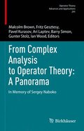 From Complex Analysis to Operator Theory: A Panorama