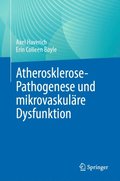 Atherosklerose-Pathogenese und mikrovaskulÿre Dysfunktion