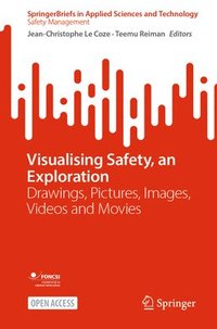 Visualising Safety, an Exploration