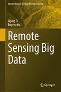 Remote Sensing Big Data