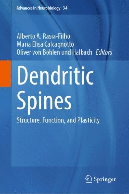 Oliver von Bohlen und Halbach, Maria Elisa Calcagnotto, Alberto A. Rasia-Filho - Dendritic Spines, E-bok
