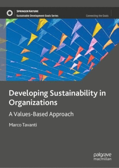 Marco Tavanti - Developing Sustainability in Organizations, E-bok