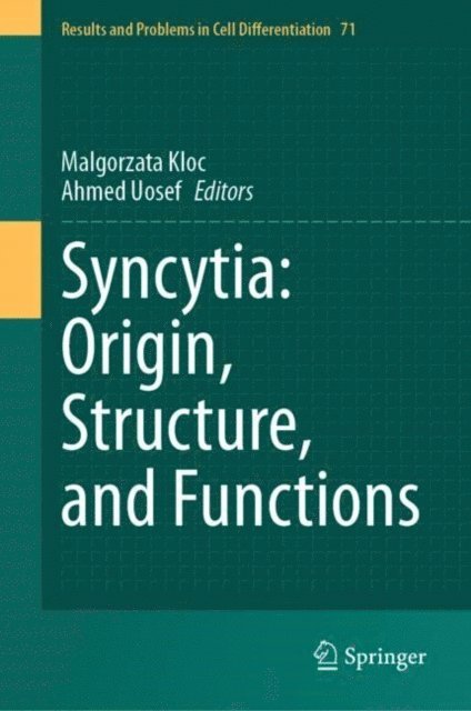 Ahmed Uosef, Malgorzata Kloc - Syncytia: Origin, Structure, and Functions, E-bok