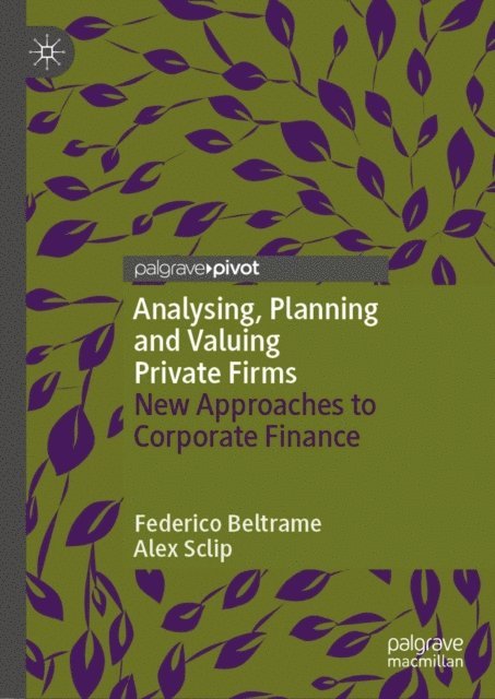 Alex Sclip, Federico Beltrame - Analysing, Planning and Valuing Private Firms, E-bok
