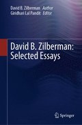 David B. Zilberman: Selected Essays