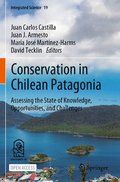 Conservation in Chilean Patagonia