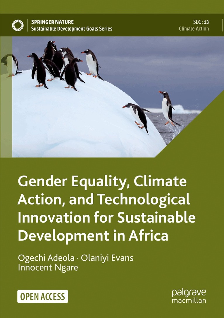 Ogechi Adeola, Olaniyi Evans, Innocent Ngare - Gender Equality, Climate Action, and Technological Innovation for Sustainable Development in Africa, Häftad