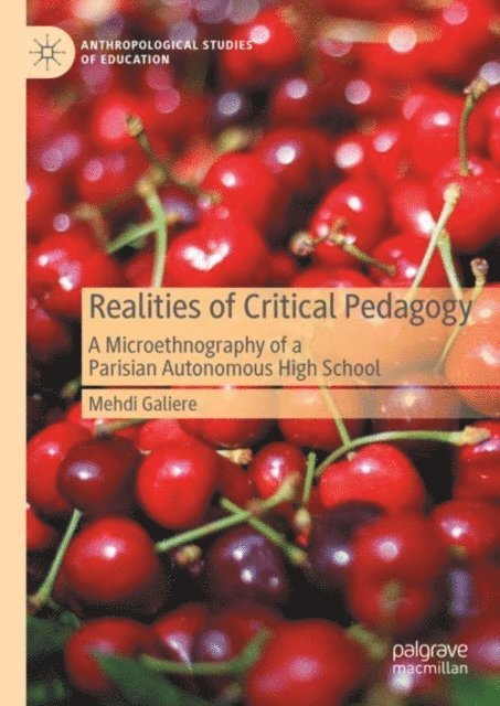 Mehdi Galiere - Realities of Critical Pedagogy, E-bok